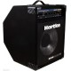 Комбоусилитель HARTKE KICKBACK 12
