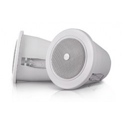 Громкоговоритель CVGaudio CRW4T