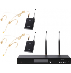 Радиосистема LAudio RWS-2BHS