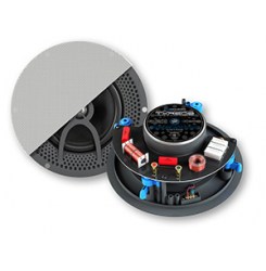 Громкоговоритель CVGaudio TXR608