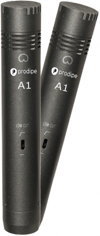 Пара микрофонов Prodipe A1 Duo