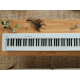 Цифровое пианино Casio CDP-S110 WE