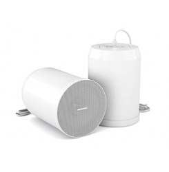 Громкоговоритель CVGaudio SPC6TW