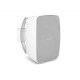 Акустическая система CVGaudio OSR608TW 