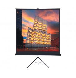 Проекционный экран Future Vision Tripod 240 T240SMW (240x240)