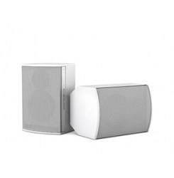 Громкоговоритель CVGaudio BS608TW