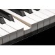 Цифровой рояль Kurzweil CUP G1W BP 