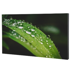 ЖК-дисплей Dahua DHI-LS550KDH-UF