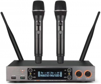 Радиосистема LAudio LS-201-2M