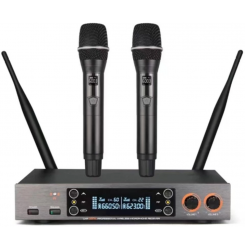 Радиосистема LAudio LS-201-2M