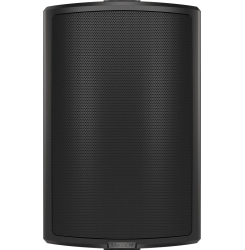 Пассивная акустическая система Tannoy AMS 6ICT LS