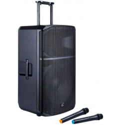 Акустическая система Soundsation Provibe-15AIR