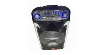 Портативная акустическая система HL-Audio СКА-15