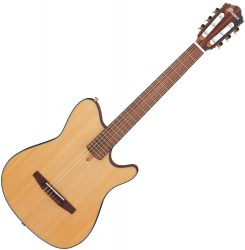 Гитара классическая Ibanez FRH10N-NTF