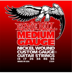 `Ernie Ball 2204`