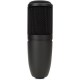 Микрофон AKG P120
