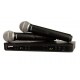 Радиосистема Shure BLX288E/PG58