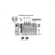 Портативная система звукоусиления Behringer Europort EPS500MP3