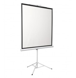 Экран на штативе Digis Kontur-D DSKD-1106 200x200 (1:1) 