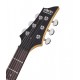 Электрогитара Schecter C-6 Deluxe