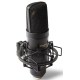 Микрофон Marantz MPM2000U