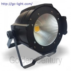 Световой прибор Golden PL100W