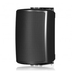 Громкоговоритель Tannoy AMS 5ICT
