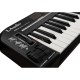 MIDI клавиатура LAudio KS61A