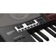 Музыкальная рабочая станция Korg Pa700-OR